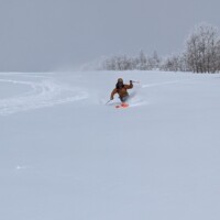 Turns on Main Willow