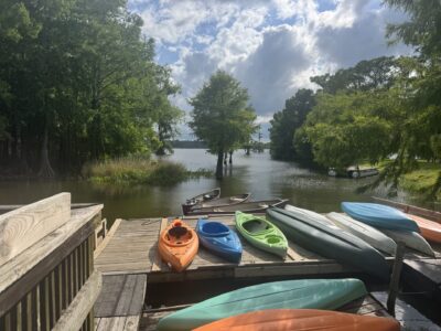 A gorgeous look out over the Bayou near Lake Martin (Louisiana) where Stacey and I went for a boat ride, hoping to find some big gators