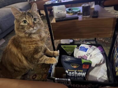 Luft checking out Snackbox in Denver